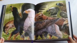 Гаррі Поттер. Огляд ілюстрованих видань.