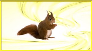 Кто такие звери? Окружающий мир 1 класс Школа России