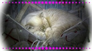 Колыбельная Котя, котенька,коток слушание в младшей группе  Абросимова Л И