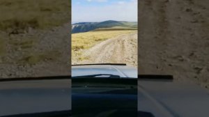 Да, да, да... Это Кавказ! ?