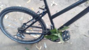 ЛЕТНИЕ ПОКАТУШКИ #2 | ПАДЕНИЯ И ОПАСНЫЕ СПУСКИ НА ВЕЛОСИПЕДЕ (BIKE SHOW)