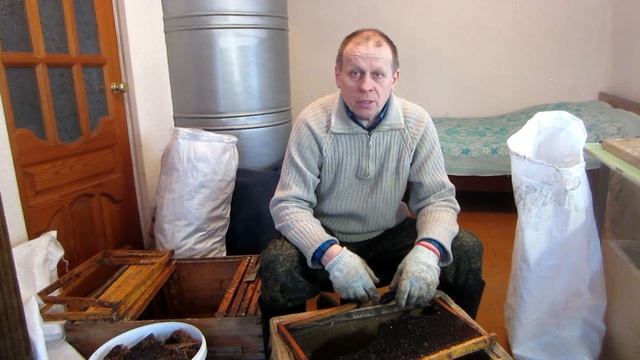 МОЯ РАБОТА С КАРПАТСКОЙ ПЧЕЛОЙ НА МОЕЙ ПАСЕКЕ. ТЕСТ КАРПАТКИ С МУКАЧЕВО.