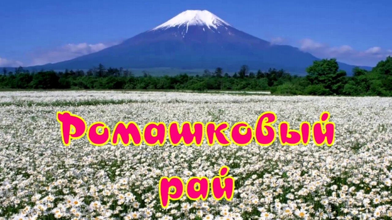 Ромашковый рай.mp4 смотреть онлайн