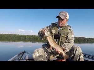 Жара, вода цветёт. Ищем рыбу на Волге джигом