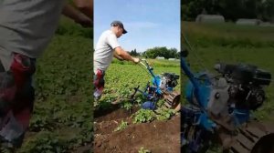 Нева дисковый окучник