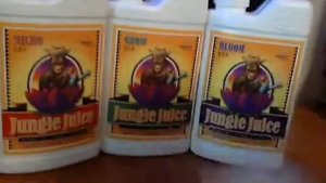 Advanced Nutrients Jungle Juice Micro , Grow , Bloom Review