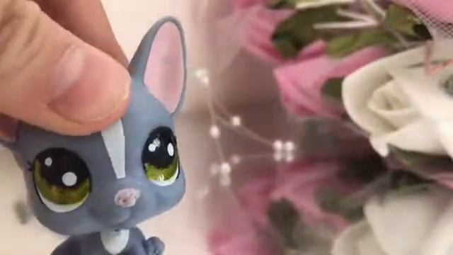 Как сделать линзы пэту? Легко и просто ! смотреть онлайн