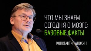 Что мы знаем сегодня о мозге. Константин Анохин