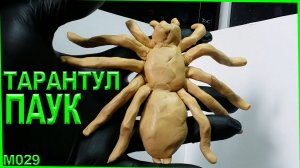 Лепка из пластилина. Тарантул лепка паука. Как слепить насекомое.