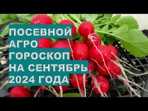 Посевной агрогороскоп на сентябрь 2024 года Sowing agro horoscope for September 2024