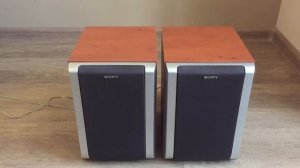 Тест колонок SONY SS-DX2D