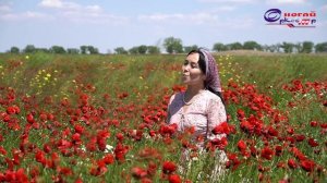 "Тувган шоьлим" сл. М.Кожаева муз. Я.Кудайбердиева поёт Кызылгуль Аджимуратова (Кудайбердиева).