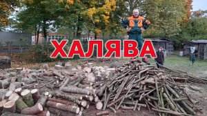 Халявные дрова