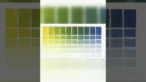 Урок -3. Градация цвета.  Осенние листья.