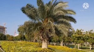ZABEEL PARK-/ Most beautiful park in Dubai .