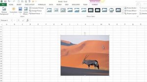 Insert and Format Pictures / Online Pictures / Clip Art in Excel 2013