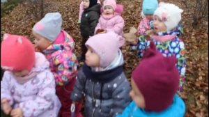 Осенняя прогулка "В гости к Зайчику!" во второй младшей группе "Зайчики", д.с. "Родничок"