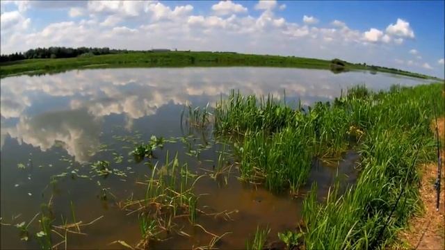 На рыбалку с Иванычем. Эхх хвост,чешуя... смотреть онлайн