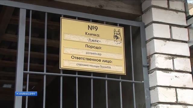 В Камышине состоялось открытие центра кинологической службы смотреть онлайн