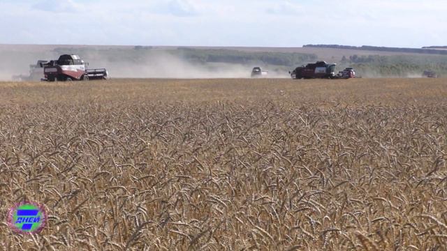 На полях Балахтинского района продолжается уборка урожая. смотреть онлайн