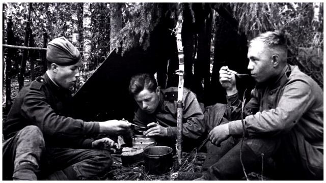 НКВД. Рассекреченное Донесение Раненого Командира: Немцы в Платьях, Отсутствие Клея и Авиация смотреть онлайн