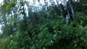 рыбалка на реке Лобва