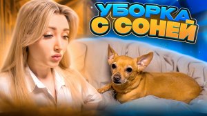 Уборка с Соней