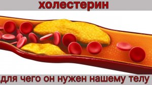 Холестерин, для чего он нужен нашему телу. #остеопатия #массаж #москва