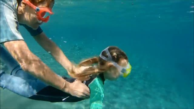 детский фридайвинг с Леной Корнеевой и Танюшей Новак движение смотреть онлайн