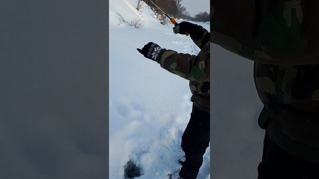 Впервые на зимней рыбалке. Окунь на блесну в феврале смотреть онлайн