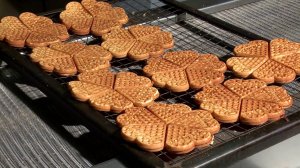 Автоматизированный комплекс для выпечки вафельных сердечек ПАК-2