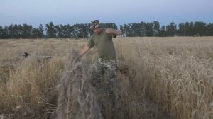 Охота на вяхиря Часть 1: Подготовка скрадка и советы.