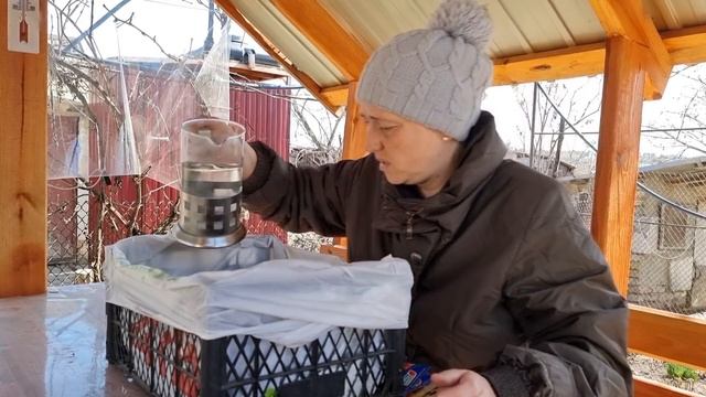 Посев томатов на россаду