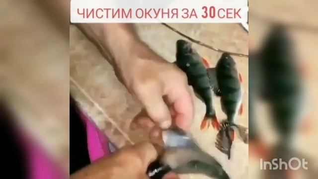 КАК ЧИСТИТЬ РЫБУ ЗА 30 СЕКУНД | ЧИСТИМ РЫБУ ОКУНЬ ЗА 30 СЕКУНД