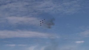 Стрижи в Чебах 18.08.24