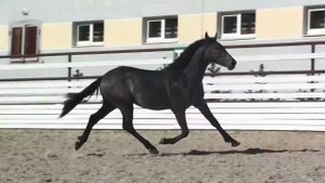 Камчадалка