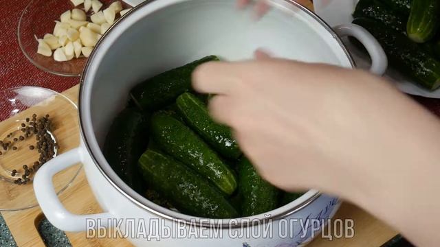 СУПЕР хрустящие МАЛОСОЛЬНЫЕ огурчики - мой ЛЮБИМЫЙ рецепт [в кастрюле]