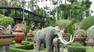 ТРОПИЧЕСКИЙ САД НОНГ НУЧ | ПАТТАЙЯ | ТАИЛАНД