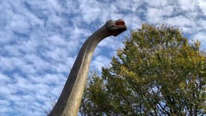 Динопарк Геленджик. Прогулка с динрозаврами