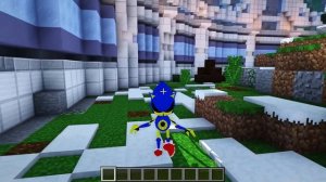 КАК МЕНЯЛСЯ СОНИК И ЕГО ЖИЗНЕННЫЙ ЦИКЛ в МАЙНКРАФТ ! ЭВОЛЮЦИЯ СОНИКА ВИДЕО ТРОЛЛИНГ MINECRAFT