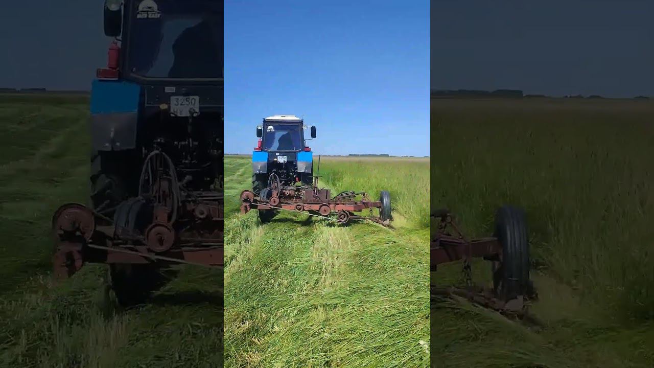 МТЗ 82 на сенокосе 2024 смотреть онлайн