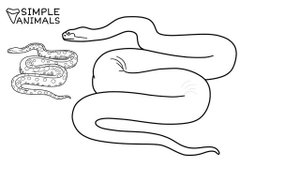 How to draw ANACONDA easy / drawing boa snake