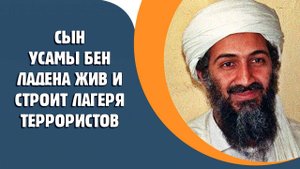 Сын Усамы бен Ладена остался жив и строит лагеря террористов