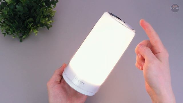 Обзор Teckin Bedside Lamp - прикроватная лампа с RGB подсветкой