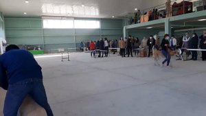 Бугай Алабай. Выставка 23.10.21 Ринг САО. Судья Филатова Алла.