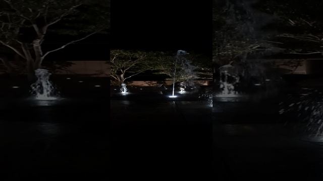 Фонтаны в Парке Галицкого в Краснодаре ночью