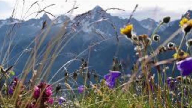 #05 Toni Ceron, de la Spagyrie à l'Alchimie, la philosophie intérieure... смотреть онлайн