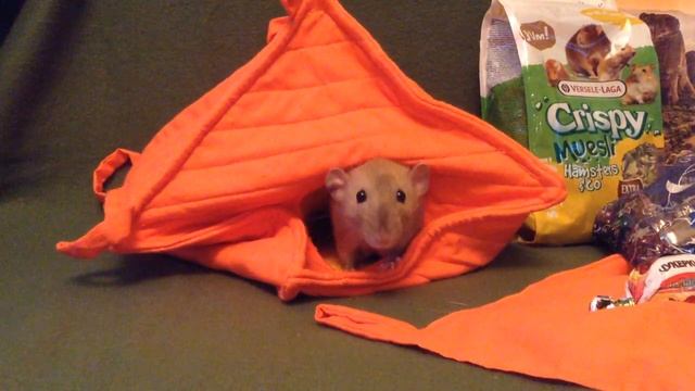 Подарки от Санта Крыса 1 смотреть онлайн