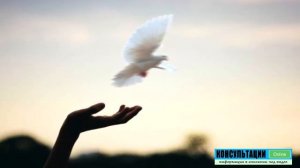 Как вернуть жену? - 5 простых шагов / Советы психолога