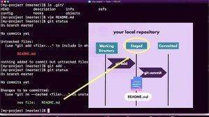 DevOps Bootcamp | Git Fundamental | Working with Git | Git Tutorial for Beginners | Lesson 5